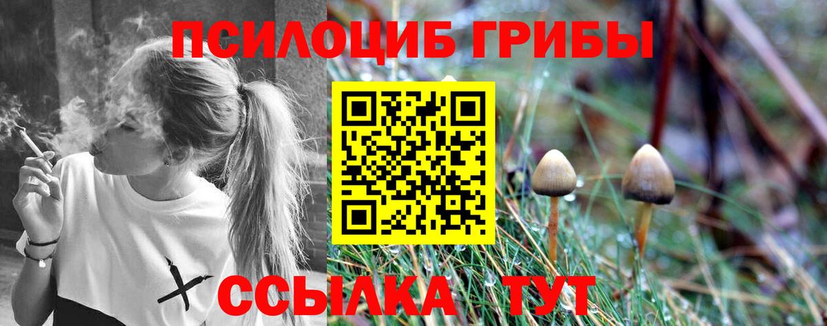 Галлюциногенные грибы мухоморы  Вход с VPN  Котельники  Псилоцибиновые грибы мухоморы 