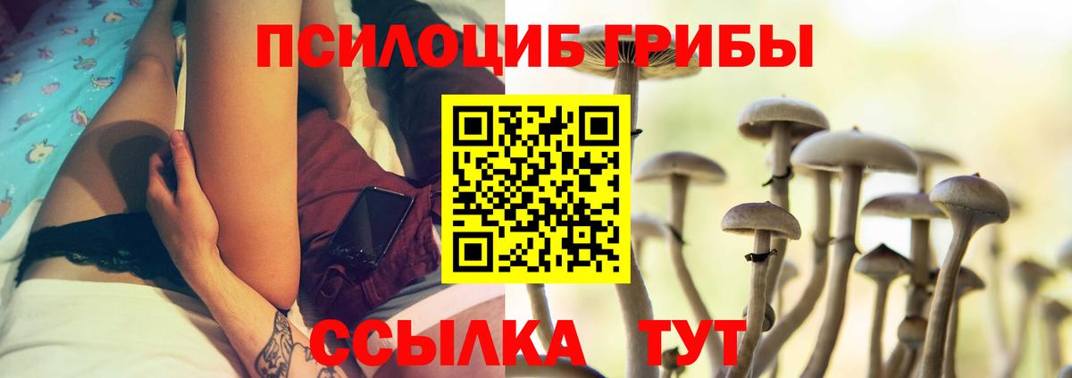 Псилоцибиновые грибы Psilocybine cubensis Котельники